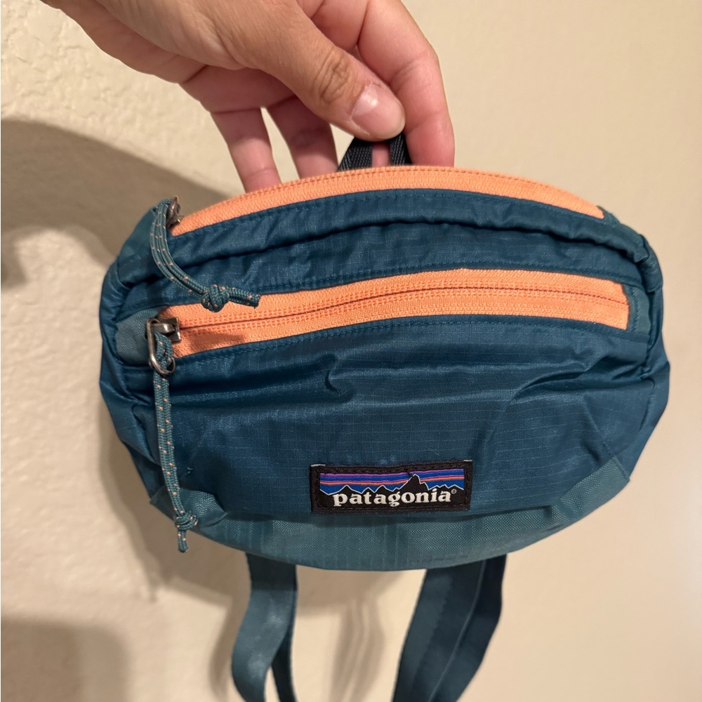 Patagonia Ultralight Hip Pack